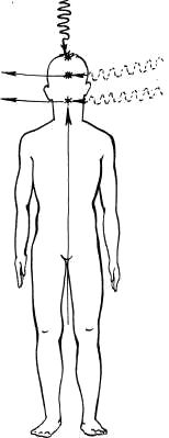 Дмитрий Верищагин - Освобождение