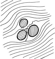 Дмитрий Верищагин - Освобождение