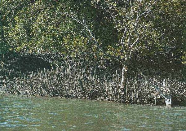 Екатерина Горбачева, Светлана Хворостухина - Географические открытия