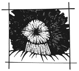 Татьяна Шнуровозова - Вышиваем гладью цветы и картины