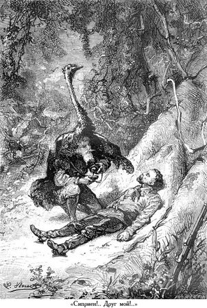 Жюль Верн - Южная звезда