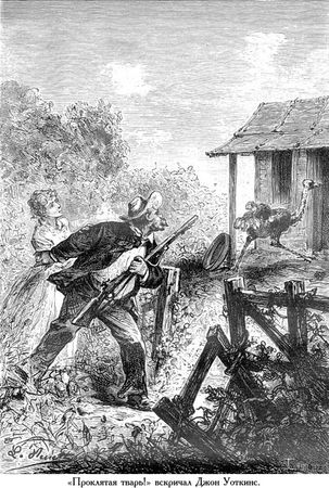 Жюль Верн - Южная звезда