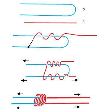 Валерий Демус - Большая книга узлов. Рыбацкие, охотничьи, морские, туристские,...