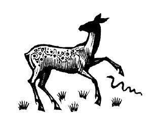 Сергей Есенин - Не жалею, не зову, не плачу...