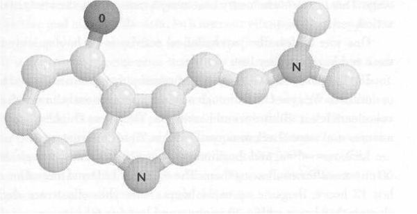 Рик Страссман - ДМТ - Молекула духа