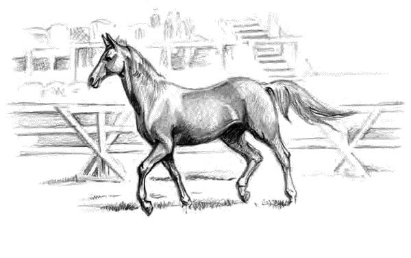 Иван Шмелев - Детям (сборник)