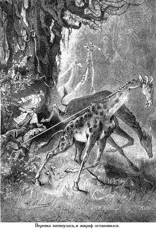 Жюль Верн - Южная звезда