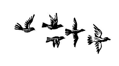 Сергей Есенин - Не жалею, не зову, не плачу...