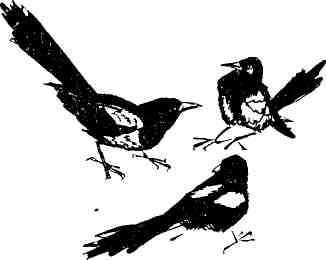 Николай Глебов, Григорий Устинов и др. - Колокольчик в тайге