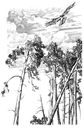 Иван Шмелев - Детям (сборник)