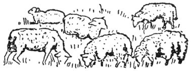 Рассказы северных ветров, или По пабам...