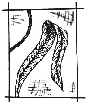 Татьяна Шнуровозова - Вышиваем гладью цветы и картины