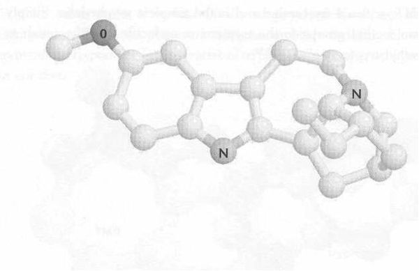 Рик Страссман - ДМТ - Молекула духа
