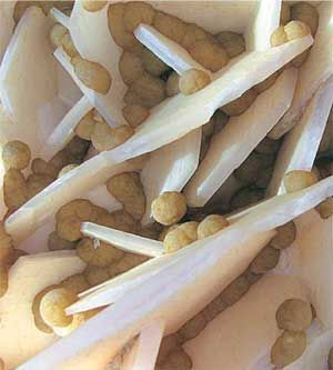 Влада Макарычева - Дальний Восток. Путеводитель