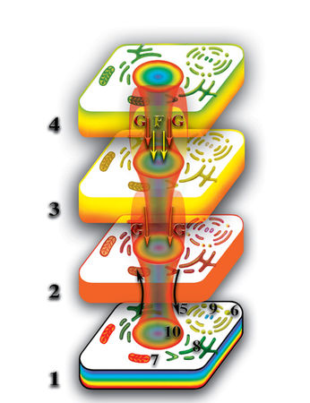 Николай Левашов - Неоднородная Вселенная