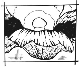 Татьяна Шнуровозова - Вышиваем гладью цветы и картины