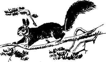 Николай Глебов, Григорий Устинов и др. - Колокольчик в тайге