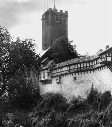 Василий Веденеев - 100 великих тайн Третьего рейха