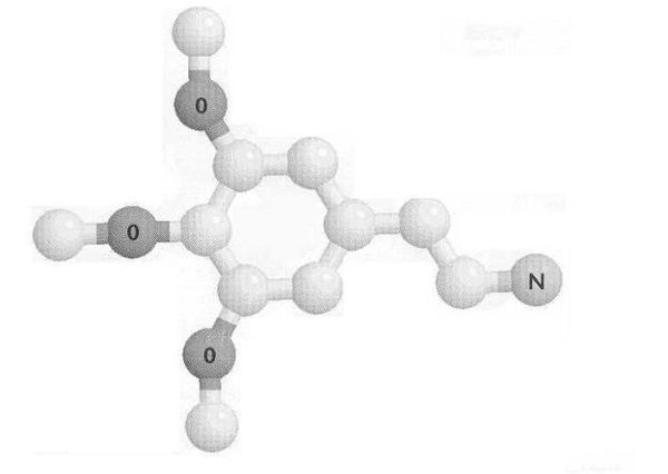 Рик Страссман - ДМТ - Молекула духа