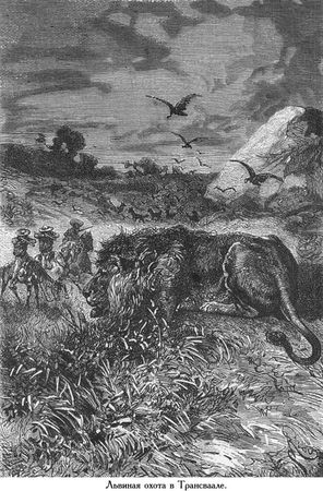 Жюль Верн - Южная звезда