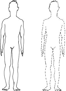 Дмитрий Верищагин - Освобождение