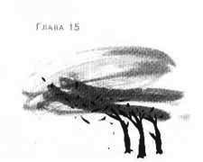 Анника Тор - Пруд Белых Лилий