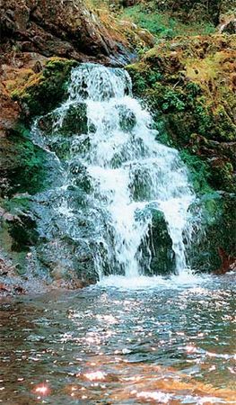 Влада Макарычева - Дальний Восток. Путеводитель