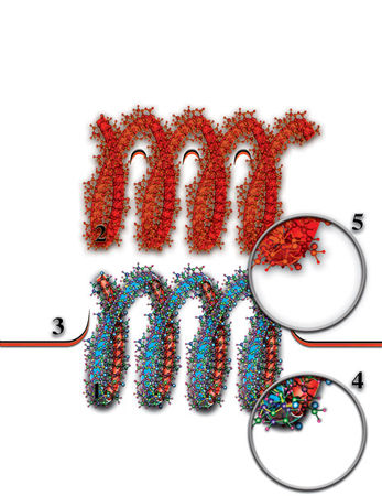 Николай Левашов - Неоднородная Вселенная