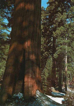 Екатерина Горбачева, Светлана Хворостухина - Географические открытия