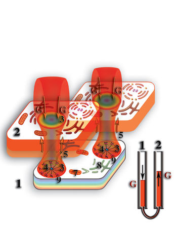 Николай Левашов - Неоднородная Вселенная