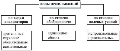 Анна Луковцева - Психология и педагогика. Курс лекций