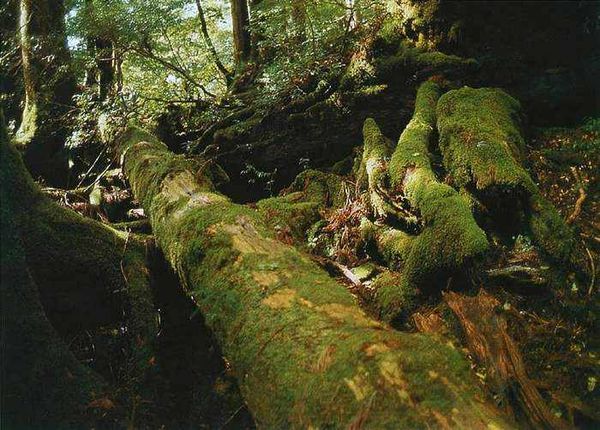 Екатерина Горбачева, Светлана Хворостухина - Географические открытия