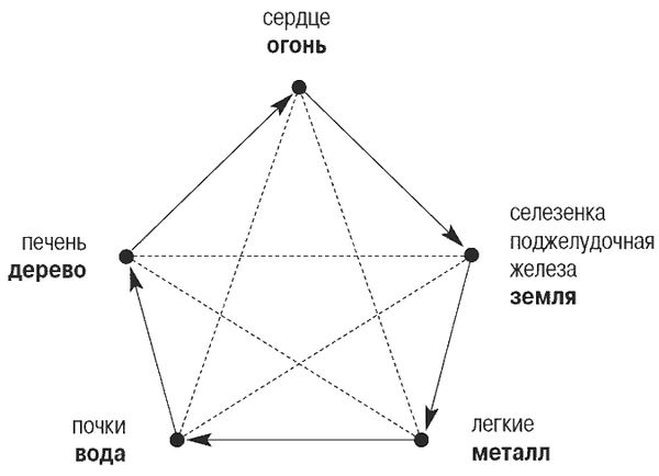 Светлана Чойжинимаева - Болезни сильных людей, или Как обуздать желчь?