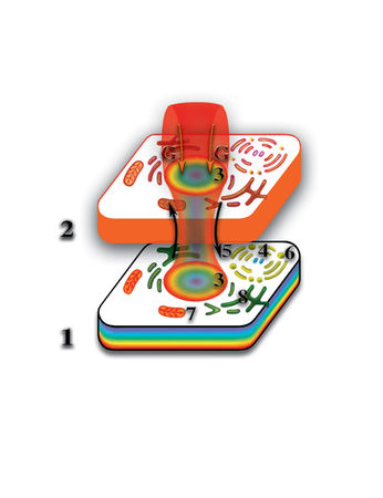 Николай Левашов - Неоднородная Вселенная