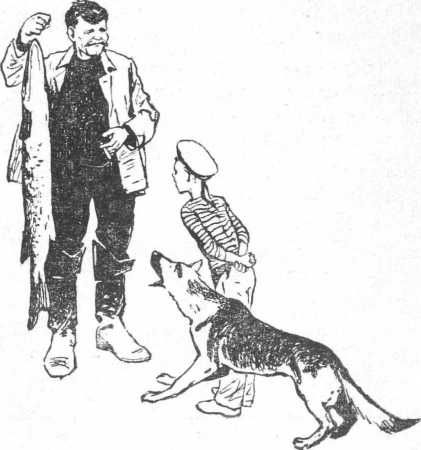 Екатерина Сургутская - Двадцать дней на борту корабля "Очарование"