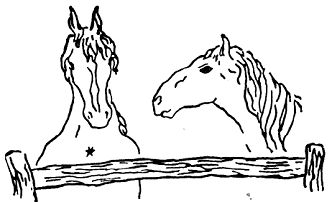 Карел Чапек - Рассказы северных ветров, или По пабам и паркам