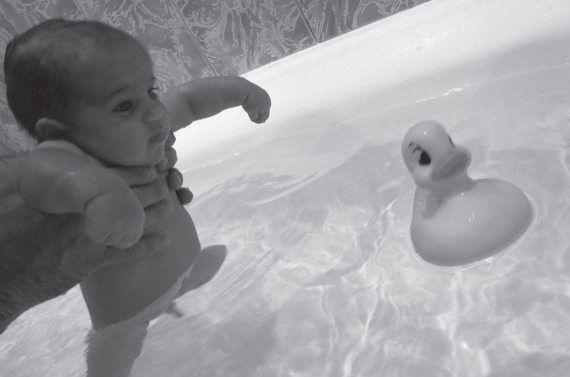 Светлана Баранова - Здоровые дети - счастливая семья