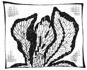 Татьяна Шнуровозова - Вышиваем гладью цветы и картины