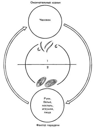 Давид Генис - Паразитология