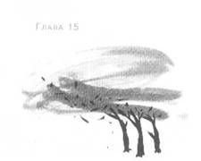 Анника Тор - Пруд Белых Лилий