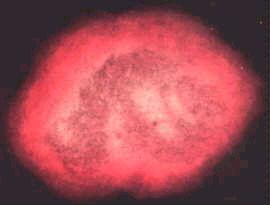 Анни Безант, Чарльз Ледбитер - Мыслеформы