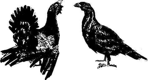 Николай Глебов, Григорий Устинов и др. - Колокольчик в тайге