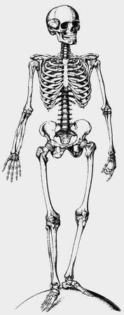 Анатолий Бернацкий - 100 великих тайн человека