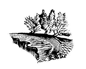 Сергей Есенин - Не жалею, не зову, не плачу...