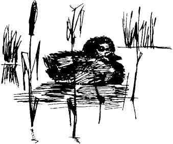 Николай Глебов, Григорий Устинов и др. - Колокольчик в тайге