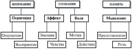 Анна Луковцева - Психология и педагогика. Курс лекций