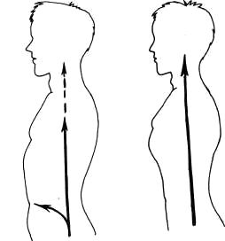 Дмитрий Верищагин - Освобождение