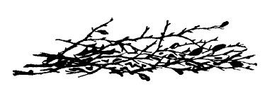 Не жалею, не зову, не плачу...