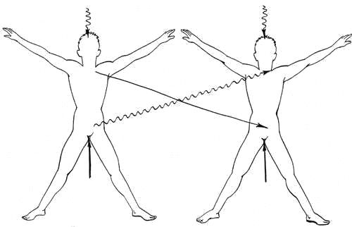 Дмитрий Верищагин - Освобождение