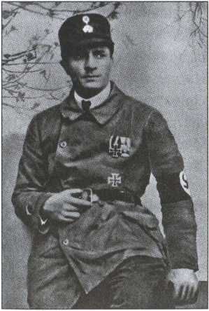 Константин Семенов - Политические солдаты Гитлера